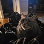 Lori Keeler - @lorikeeler89 - Instagram
