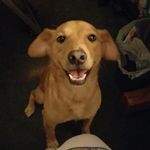 Loretta Keeling - @eric_grubbss - Instagram