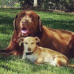 Lori Keeling - @lorimikekeeling - Instagram