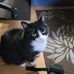 Lori Keenan - Facebook
