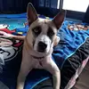 Lori Keene51 - @lorikeene51 - TikTok