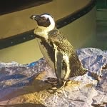 Lori Keene - @lorikeene016 - Instagram