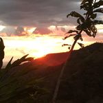 Lori Keene - @lorikeene7 - Instagram