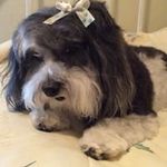 Lori Keith - @wingslk - Instagram