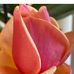 Lori Keith - Facebook