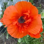 Lori Kendall - @lori.kendall.67 - Instagram