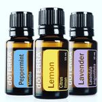 Lori Kenney - @ess_oils_daily - Instagram