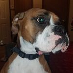 Lori Kenney - @lori.kenney.188 - Instagram
