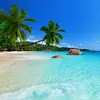 Лара💙⛱️ - @lorik_lars - TikTok
