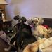 Lori Kessinger - Facebook