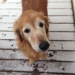Lori Kimbrough - @poopiedo8 - Instagram