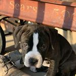 Lori Kingery - @lorikingery5 - Instagram