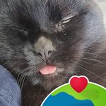 Lorraine Sara Kirkman - @lorraine_the_mum - Instagram