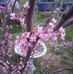 Laura Kisner - Facebook