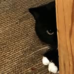 Lori Kitchen - @lori_kaye - Instagram
