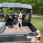 Lori Robbins Klassen - @ldklassy60 - Instagram