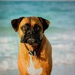 Lori Knippen - @knippenlori - Instagram
