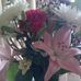 Lorrie Knott - Facebook