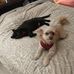 Lori Koenig - Facebook