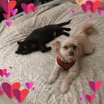 Lori Koenig - Facebook