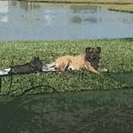 Lori Kramer - @lori_kramer0110 - Instagram