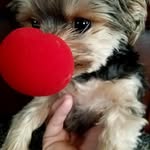 Lori Kramer - @llkramer2101 - Instagram