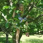 Lori Kramer - @laceadacaecaiahae1091 - Instagram