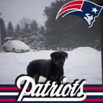 Lori Kramer - @lorikramer5828 - Instagram