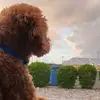 Lori Kramer - @lori.kramer - TikTok