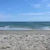 Lori Kramer - @lorikramer - TikTok