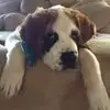 Lori Kuckenbaker - @lorikuckenbaker - TikTok