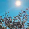 Lori Fontoura-Kunkle - @beachfun12809 - TikTok