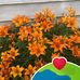 Lori Kunz - Facebook
