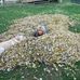 Lorrie Kunz - Facebook
