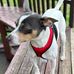 Lori Kuper - Facebook