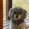 Lori Labarge - @lori.labarge3 - TikTok