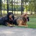 Lori Lacy - Facebook