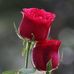 Nikhil Lahre - Facebook