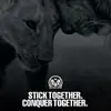 lorilampkin819 - @lorilampkin819 - TikTok