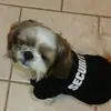 Lori Landon Saxon - @lori.landon.saxon - TikTok