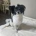 Lori Lanzatella Morgan - Facebook
