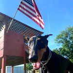 Lori Large-Beshara - @largebeshara - Instagram