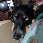 Lori Lassen - @lorianne7641 - Instagram