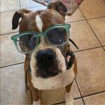 Lori Laughlin Campos - @llcampos72 - Instagram