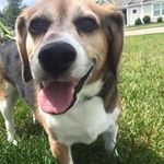 Lori Laux - @lauxlori - Instagram