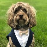 Lori LeClair - @lorileclair5 - Instagram