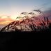 Lori Leek - Facebook