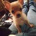 Lori Leeper - Facebook