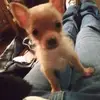 lorileeper - @lorileeper - TikTok