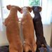 Lori Leigh - Facebook